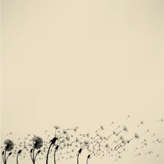 blowing dandelion vector N4