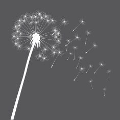 Grey vector dandelion N2