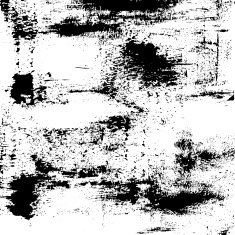Vector grunge Background N13