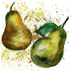 pears watercolor