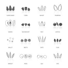 Seed Icon Set