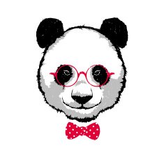 Hipster panda bear in the glasses N2