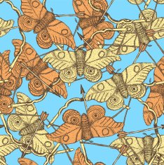 Sketch moth and bow in vintage style N2