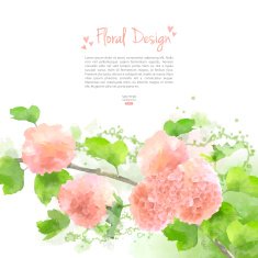 Vector Watercolor Flowers Hydrangea