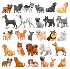 Dog collection N2