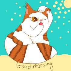 Morning cat N2