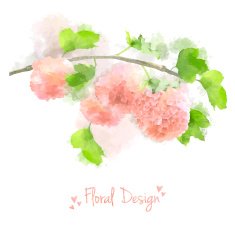 Vector Watercolor Flowers Hydrangea N2