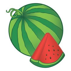 watermelon N9
