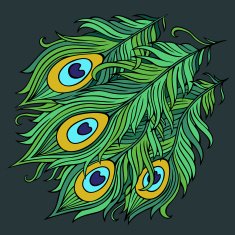 Peacock feathers vector N2