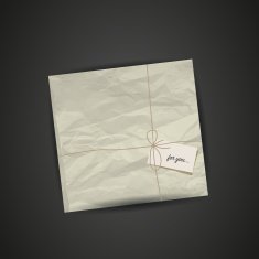 Wrapped gift package