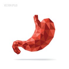 Stomach faceted