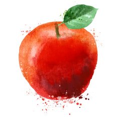 Apple vector logo design template fruit or food icon