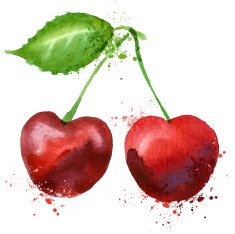 Cherry vector logo design template fruit or food icon N2