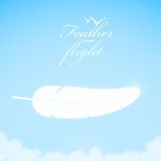 White feather in the sky background N2