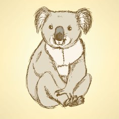 Sketch cute koala in vintage style