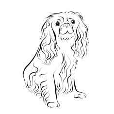 Spaniel Ink Line Art N2