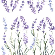 Decorative watercolor background of Lavender N2