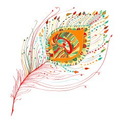 Peacock feather in white background N5