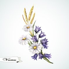 Watercolor vector bouquet with wild flowers