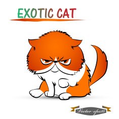exotic cat cartoon