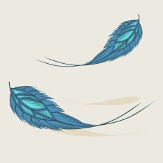 Colorful hand drawn feathers isolated