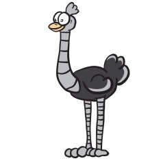 ostrich N24