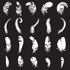 Feather white silhouette set