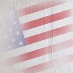 old vintage paper texture with the united states of america N2