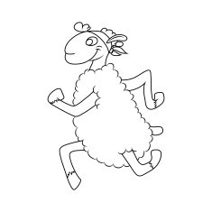 sports lamb N2