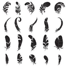 Feather black silhouette vector set