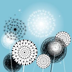 beautiful dandelions N2