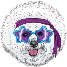 vector funny cartoon hipster dog Bichon Star Disco N2