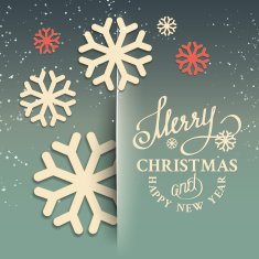 Christmas snow card N5