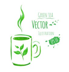 Cup of green tea N4