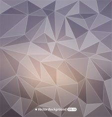 Abstract colorful polygonal background N22