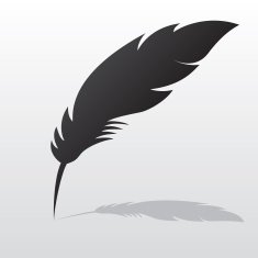 Feather with shadow N2