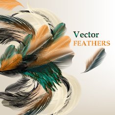Background with vector realistic bird feathers N2
