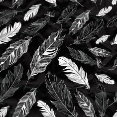 graphic texture of feathers