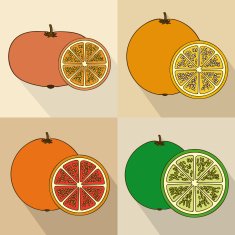 fruits design N63