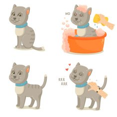 Cat life Cute gray cat adventures N2