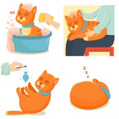 Cat life Cute red cat adventures