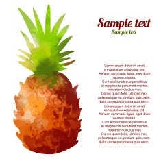 Watercolor pineapple on a white background N2