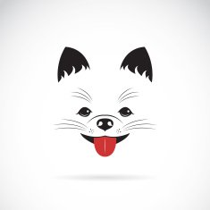 Vector image of an pomeranian dog