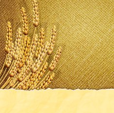 Ears of wheat on burlap background with cardboard strip