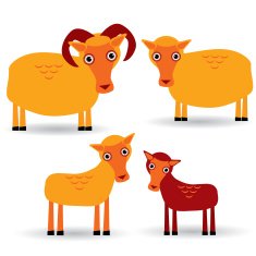 Ram ewe lamb funny animals with cubs on white background N2