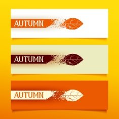 Autumn banners N21