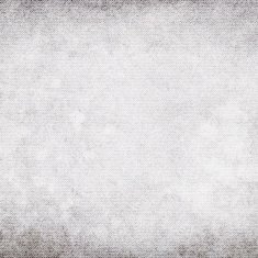 Blank grunge canvas background N8