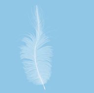 feather N56