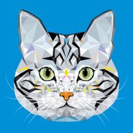 American Short hair Cat vector polygon geometric