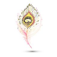 Peacock feather in white background N6